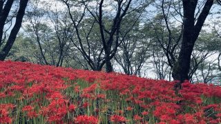 9月9日(水) 佐伯晴郎さんの著書を読んで
